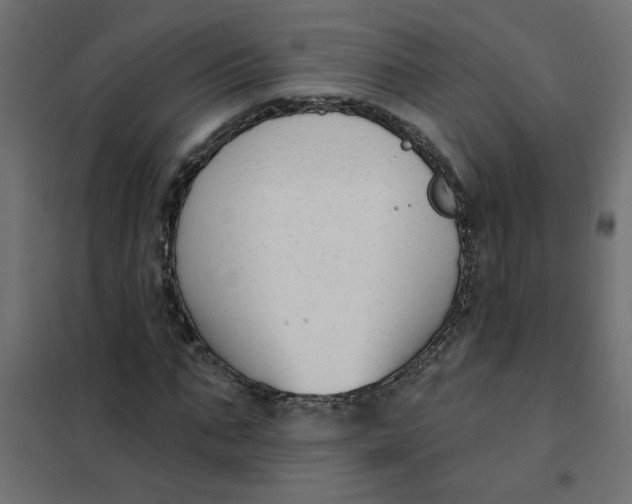 X0000102000871200808081658