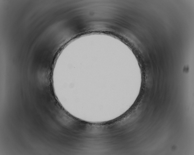 X0000102000873200808081658