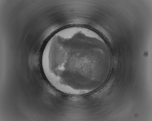 X0000102000874200808081658