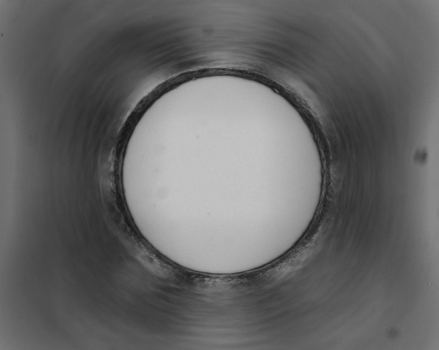 X0000102000875200808081658