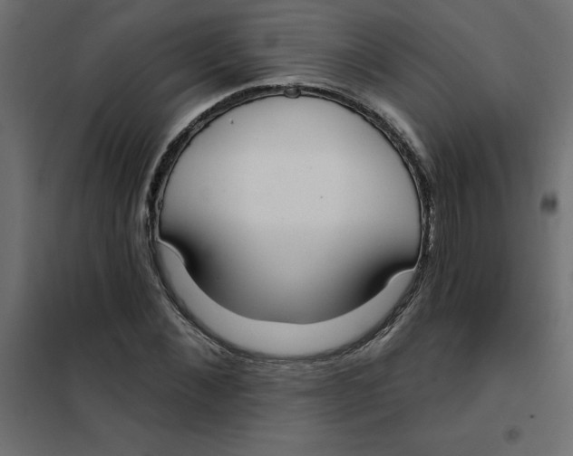 X0000102000876200808081658