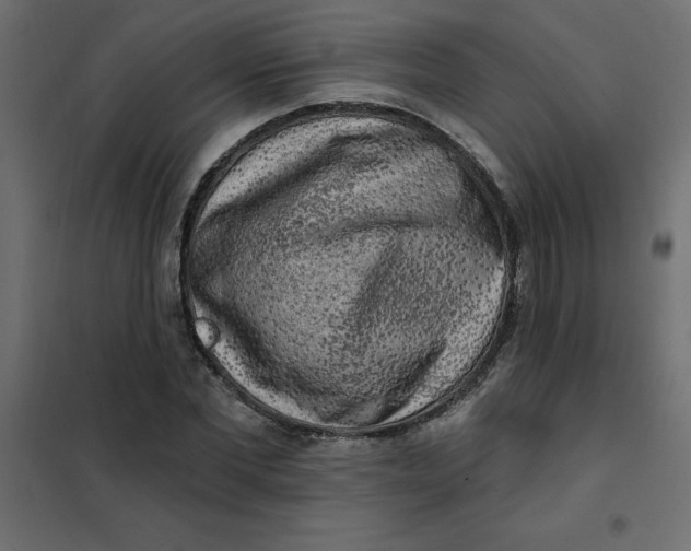 X0000102000877200808081658