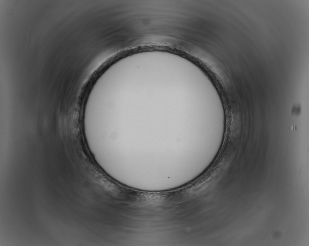 X0000102000878200808081658