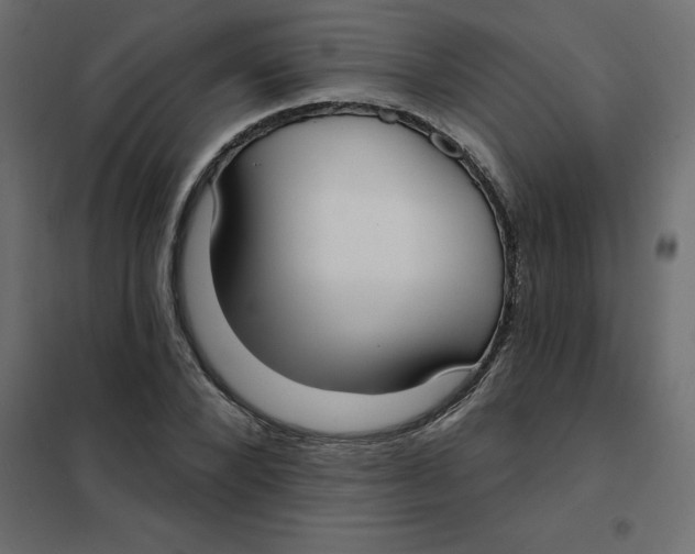 X0000102000880200808081658