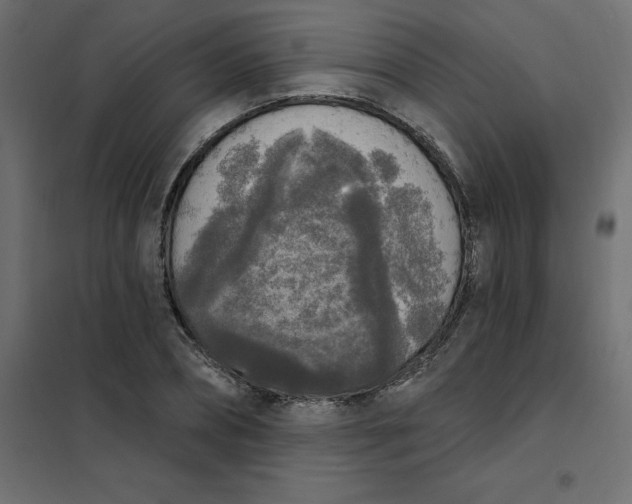 X0000102000882200808081657