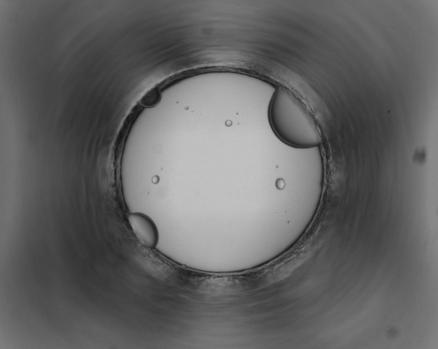 X0000102000883200808081657