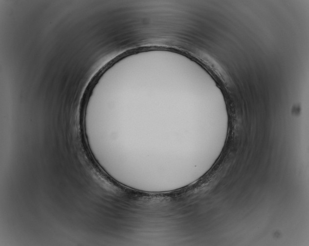 X0000102000884200808081657