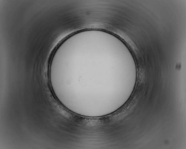 X0000102000886200808081657