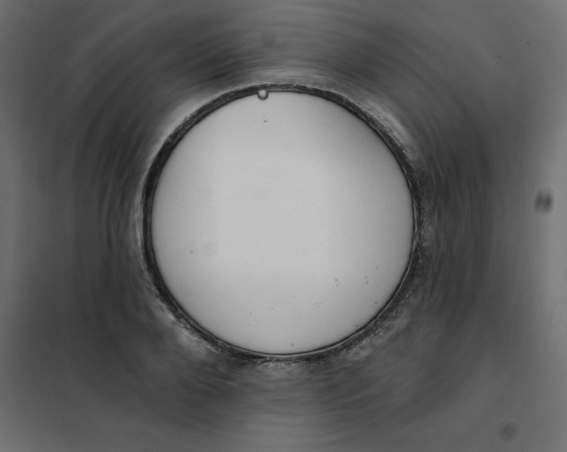 X0000102000888200808081657