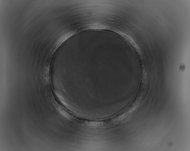 X0000102000889200808081657