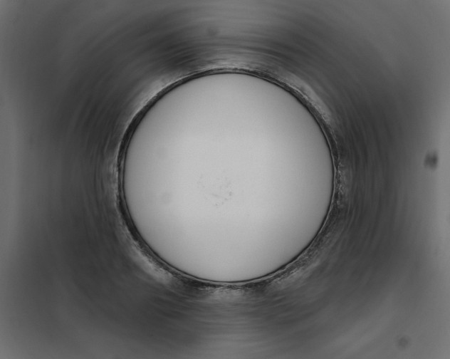 X0000102000890200808081657