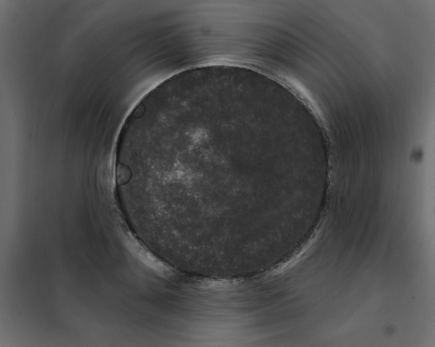 X0000102000892200808081657