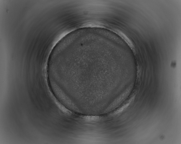 X0000102000893200808081657