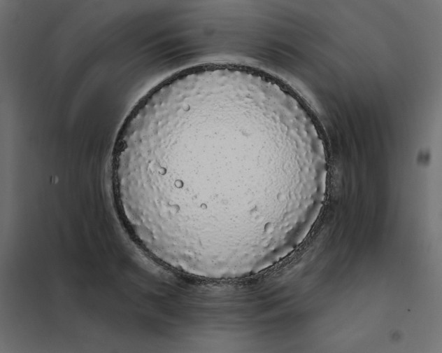 X0000102000895200808081657