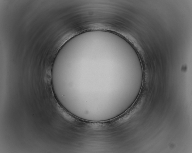 X0000102000897200808081657