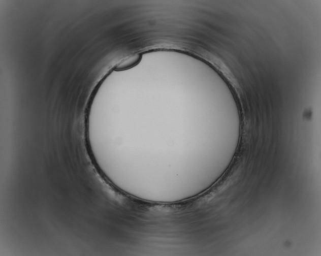 X0000102000898200808081657