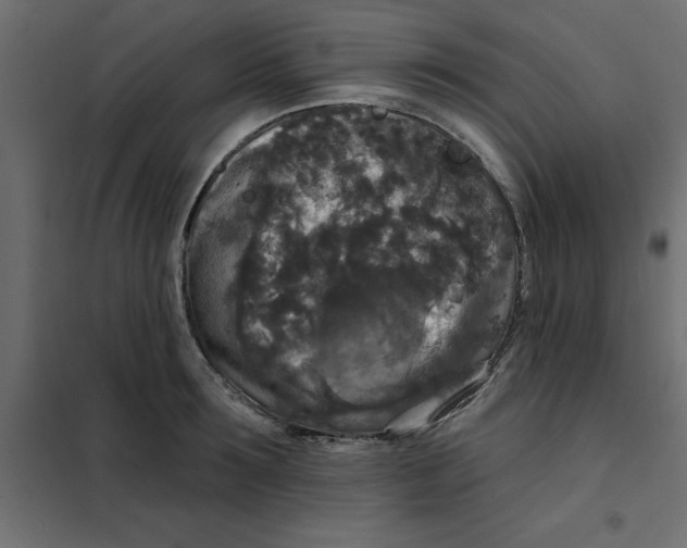 X0000102000899200808081657