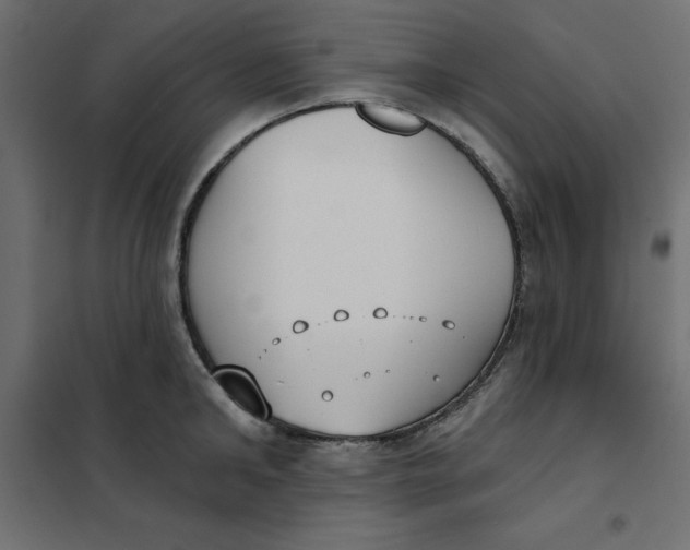 X0000102000902200808081657