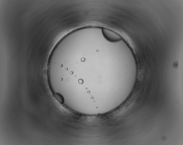 X0000102000903200808081657