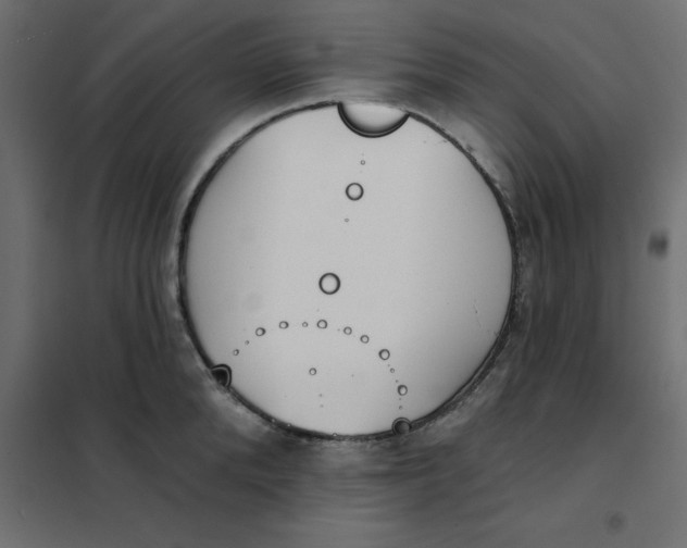 X0000102000904200808081657