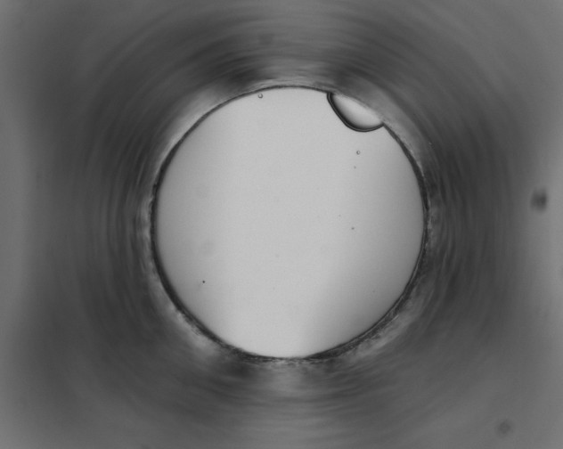 X0000102000906200808081657