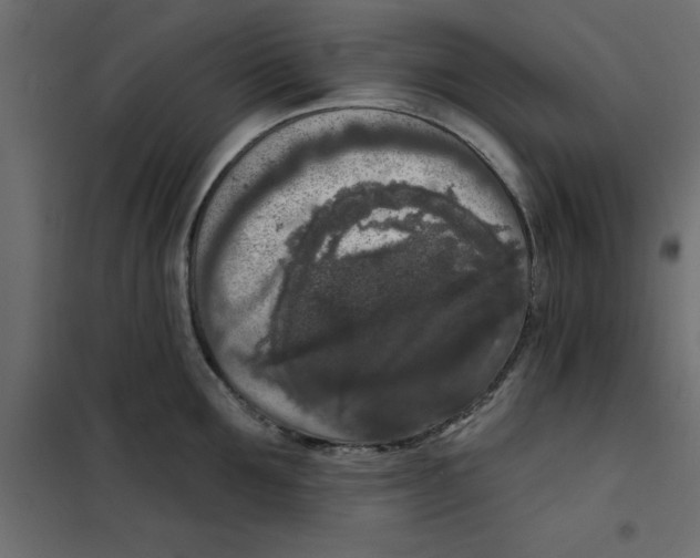 X0000102000907200808081657