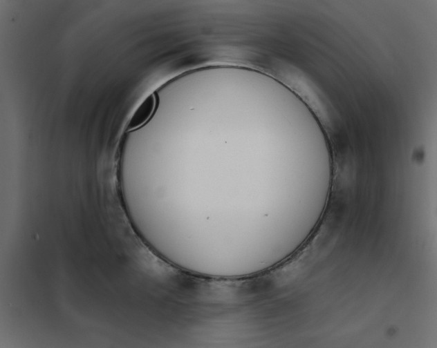 X0000102000908200808081657