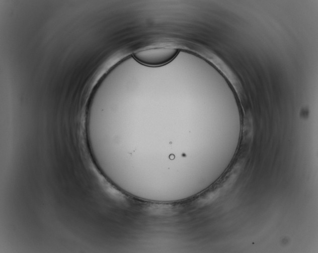 X0000102000909200808081657