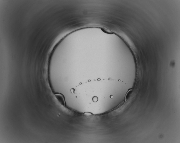 X0000102000910200808081657