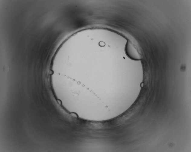 X0000102000911200808081657