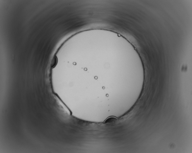 X0000102000912200808081657