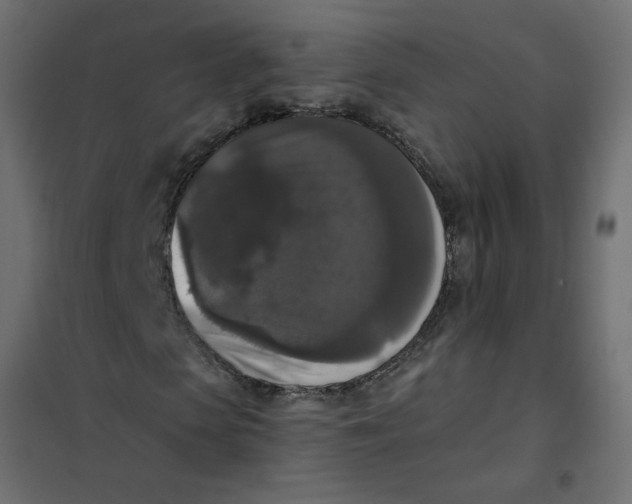 X0000102000913200808081656