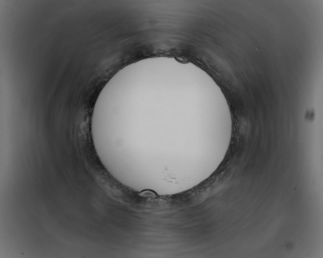 X0000102000914200808081656