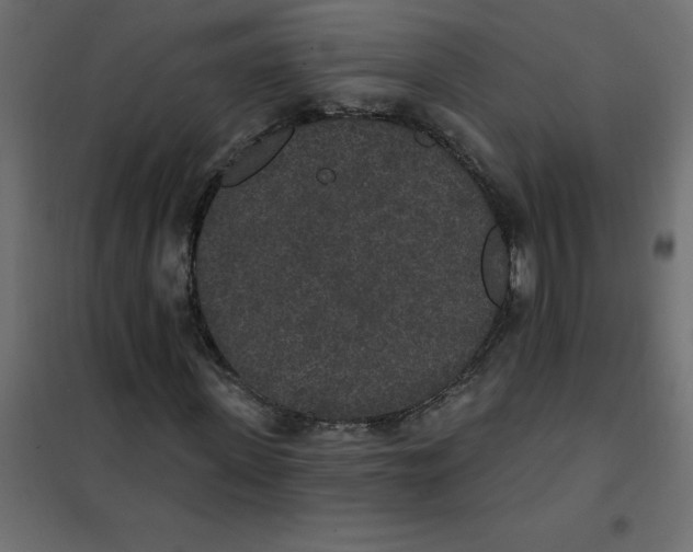 X0000102000915200808081656