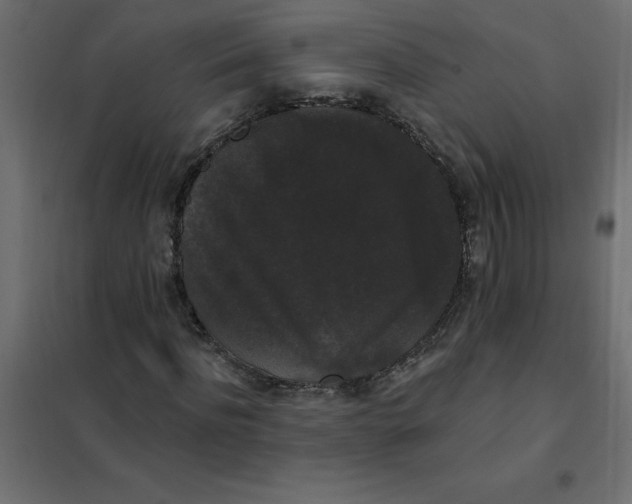 X0000102000916200808081656