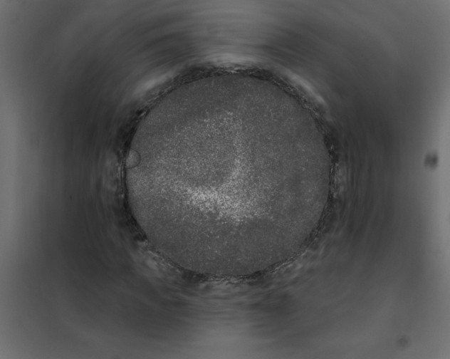 X0000102000917200808081656