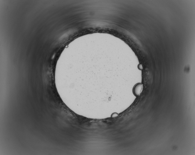 X0000102000918200808081656