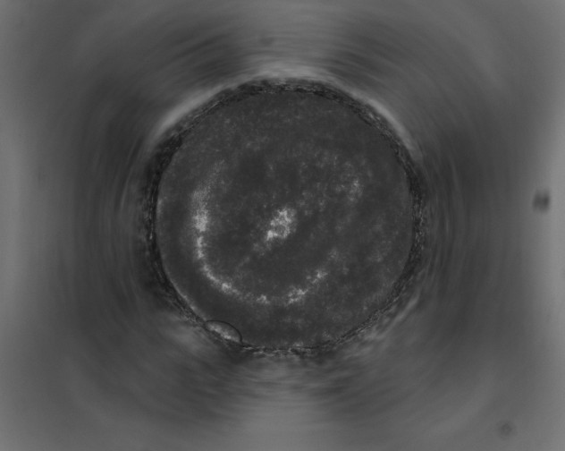 X0000102000919200808081656