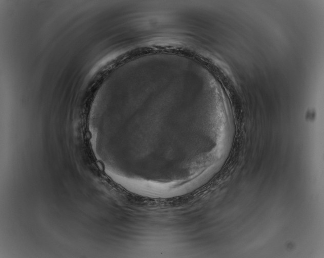 X0000102000920200808081656