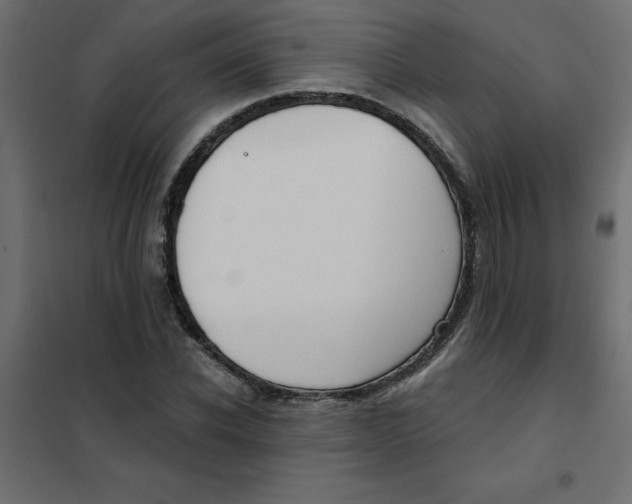 X0000102000926200808081656