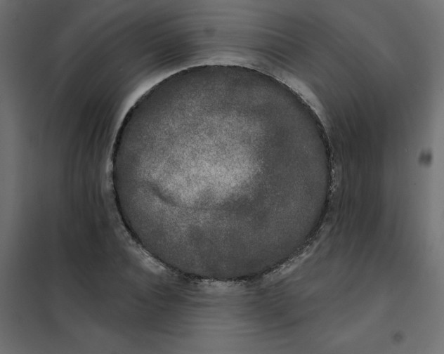 X0000102000928200808081657