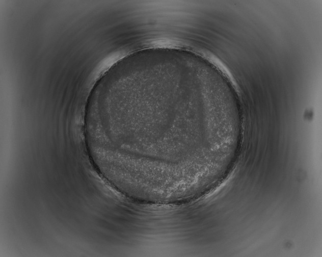 X0000102000930200808081657