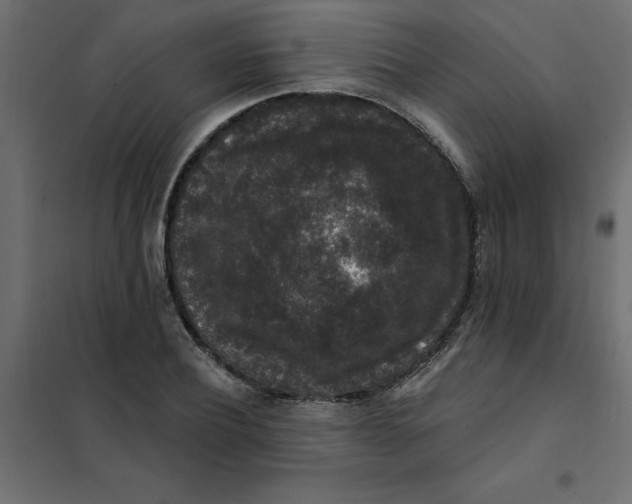 X0000102000932200808081657