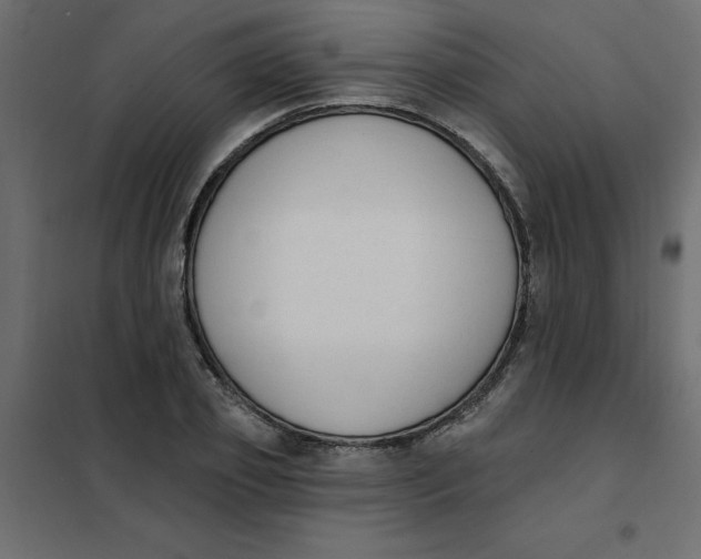 X0000102000933200808081657