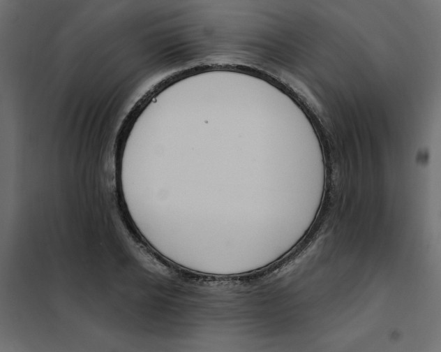 X0000102000934200808081657