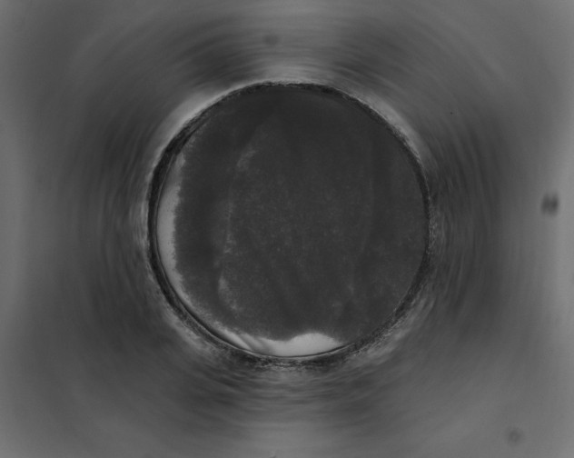 X0000102000935200808081657