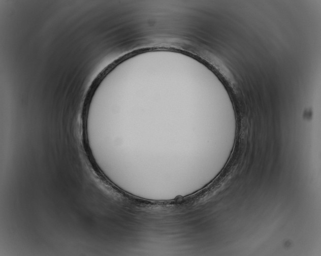 X0000102000936200808081657