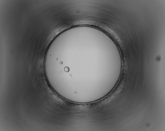 X0000102000937200808081657