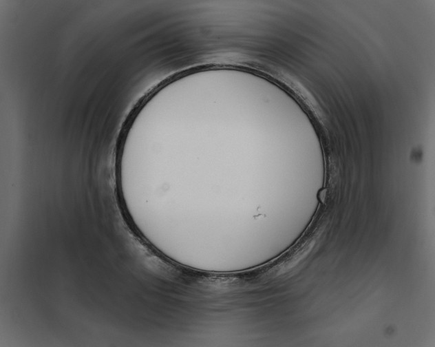 X0000102000939200808081657