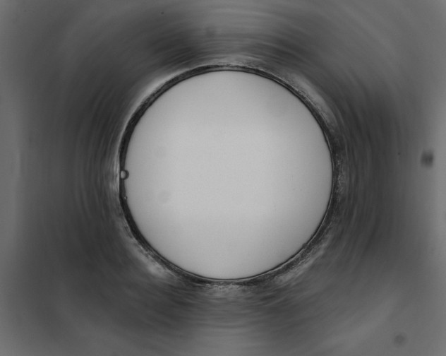 X0000102000940200808081657